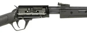 Rossi RP22181SYEN07 Gallery  Full Size 22LR 15+1, 18" Polished Black Steel Barrel, Polished Black w/Engraving Steel Receiver, Black Fixed Stock, Right Hand