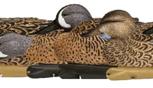 Avian X AVXAVX8080 Topflight Blue-Winged Floating Teal Decoys Multi-Colored-6 Pack