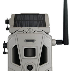 BUS CELLUCORE 20 SOLAR DUAL SIM TAN