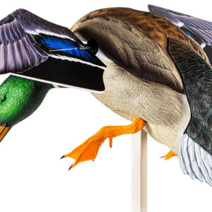 Avian X AVXAVXDP101 PowerFlight  Mallard Spinning Wing Duck Decoy Multi-Color Dual Mode Remote
