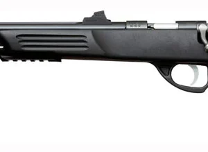 CRICKETT PISTOL 22WMR - BLUED/BLACK SYNTHETIC THREADED