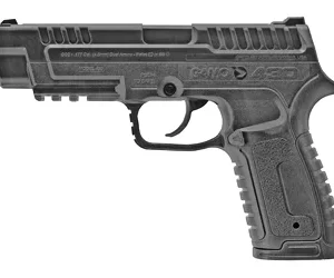 GAMO P-430 177 PEL/BB PISTOL 495 FPS